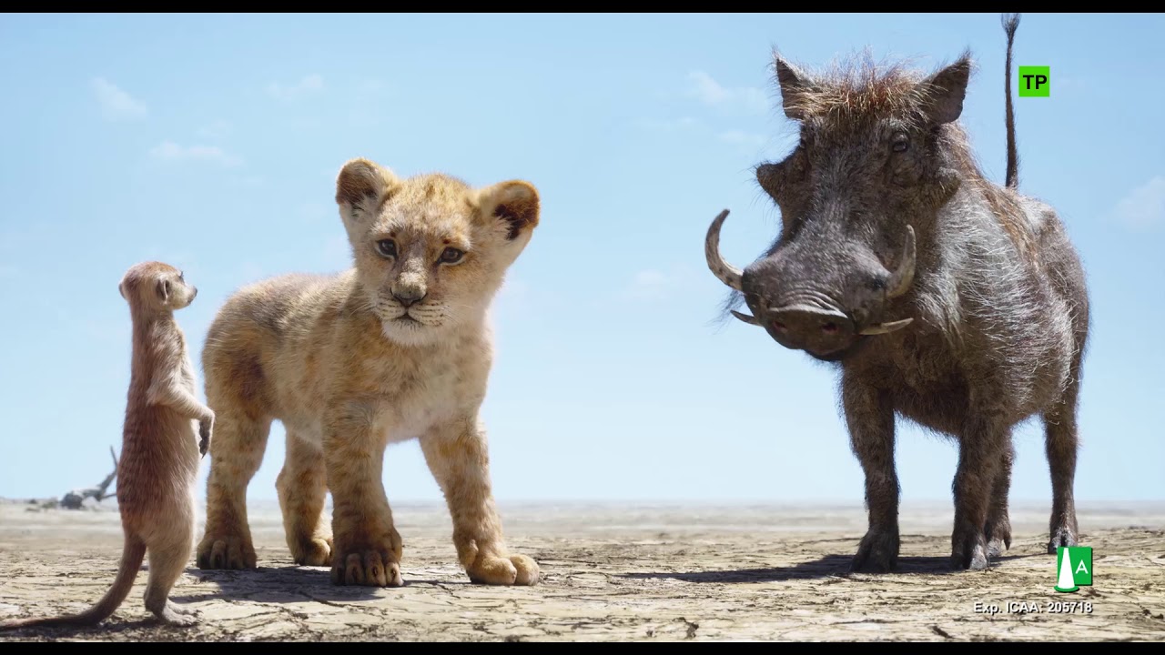 El Rey León (2019) | Escena: 'Hakuna Matata' | HD