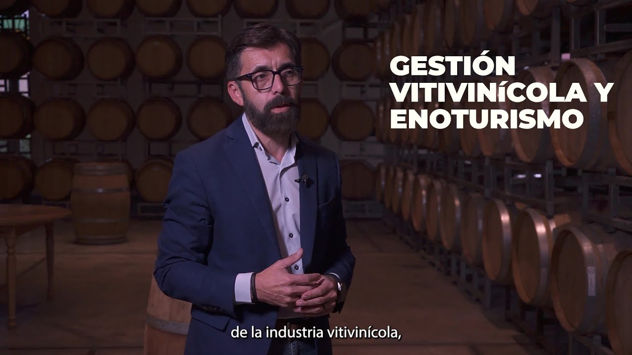Gestión Vitivinícola: Innová, Sostené y Liderá la Transformación de la Industria
